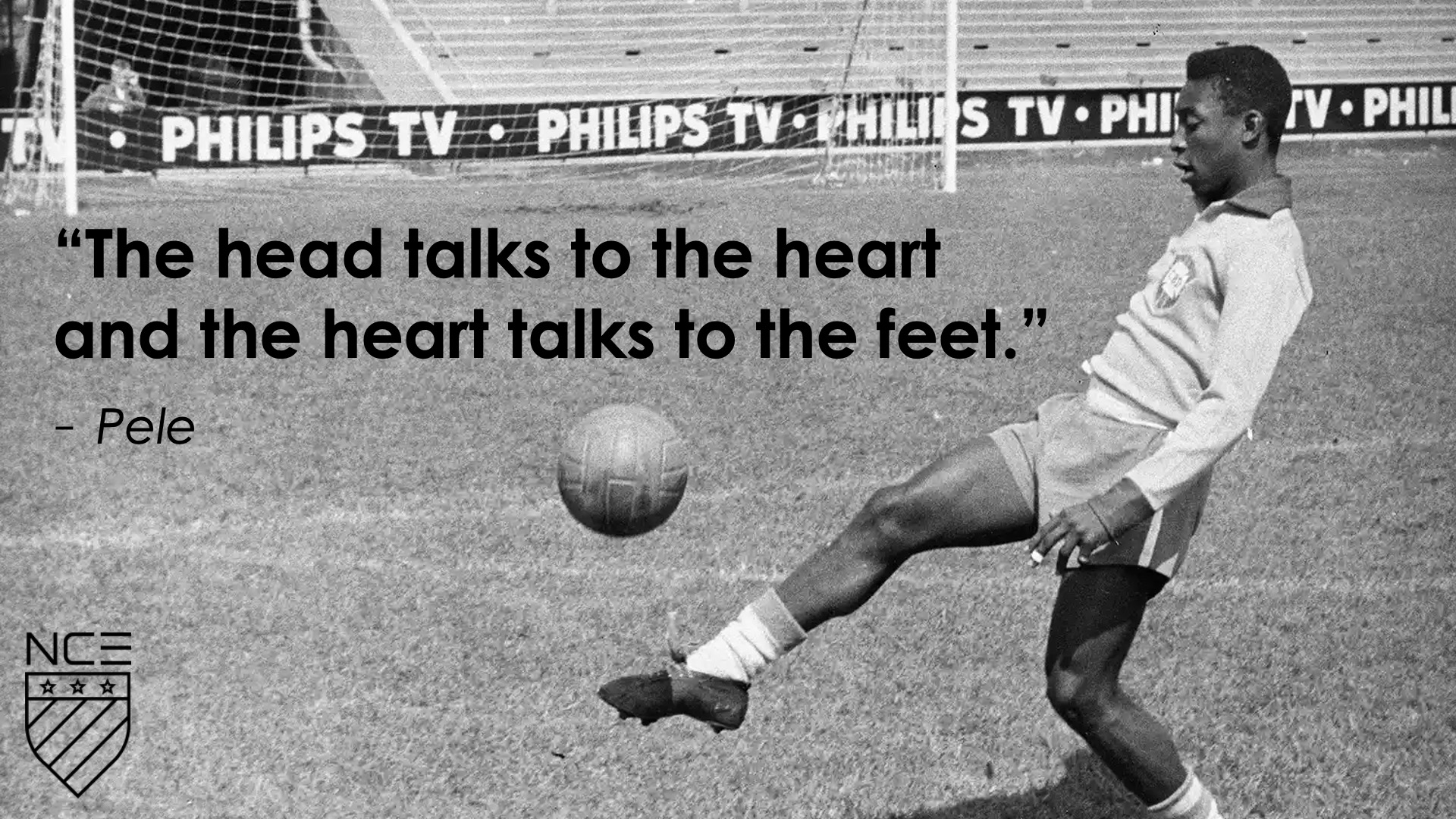 Pele Quote